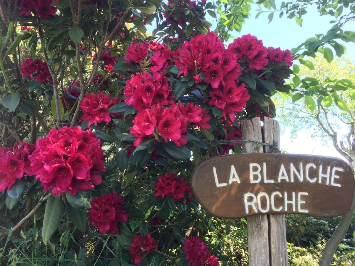 SourdevalLa Blanche Roche住宿加早餐旅馆 外观 照片