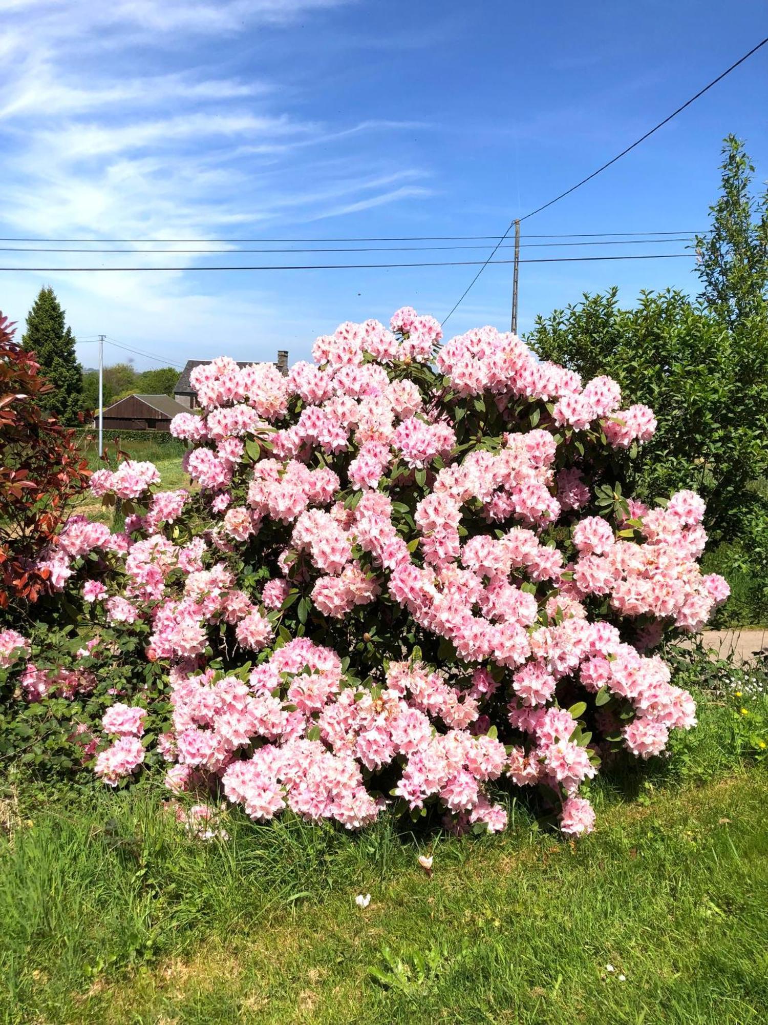 SourdevalLa Blanche Roche住宿加早餐旅馆 外观 照片